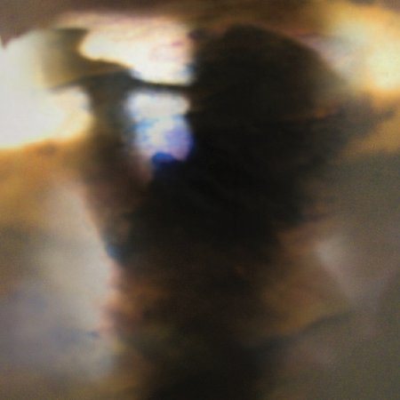 FALL BE KIND Vinyl Record