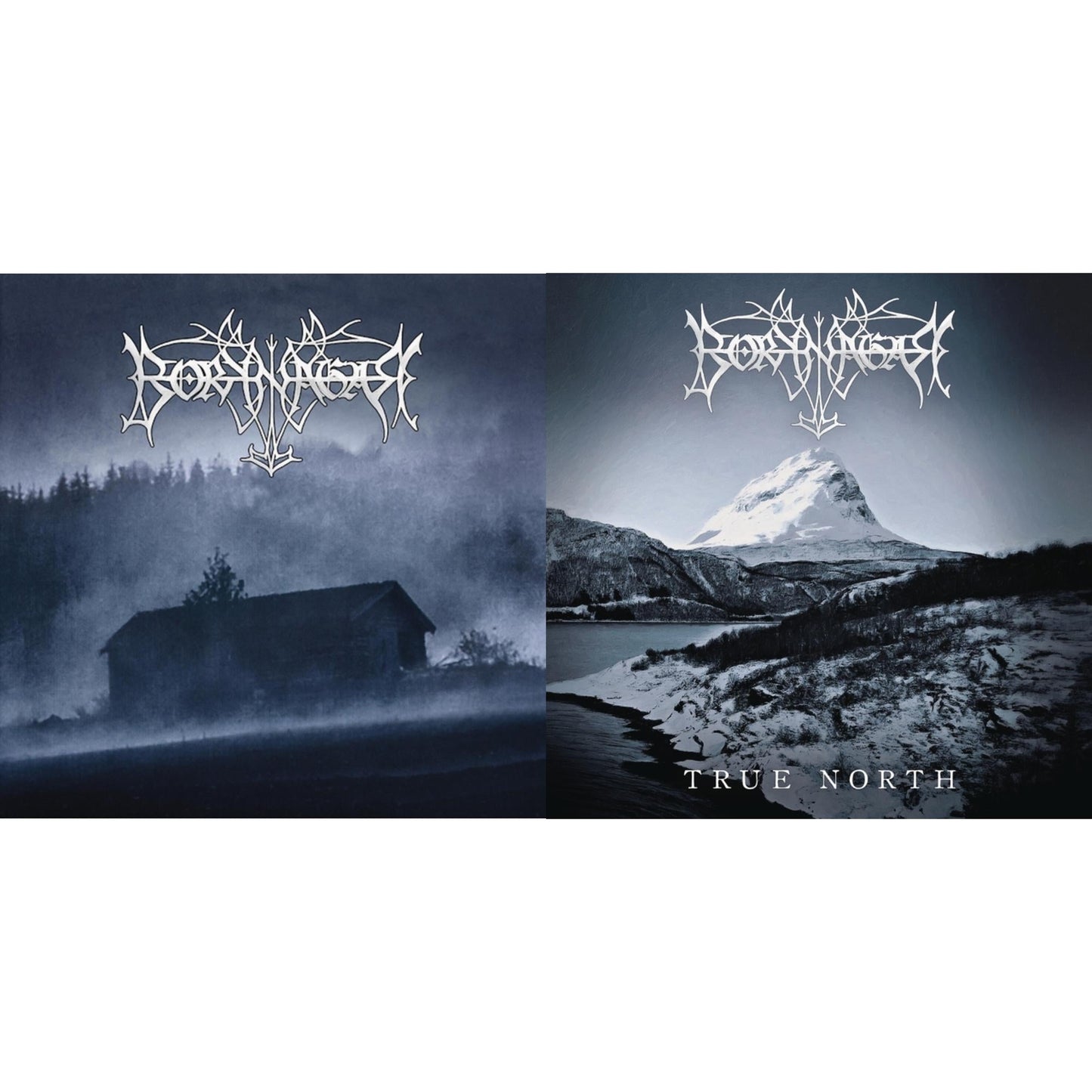 Borknagar - Borknagar (25Th Anniversary Re-Issue 2021/2LP) & True North (180G)