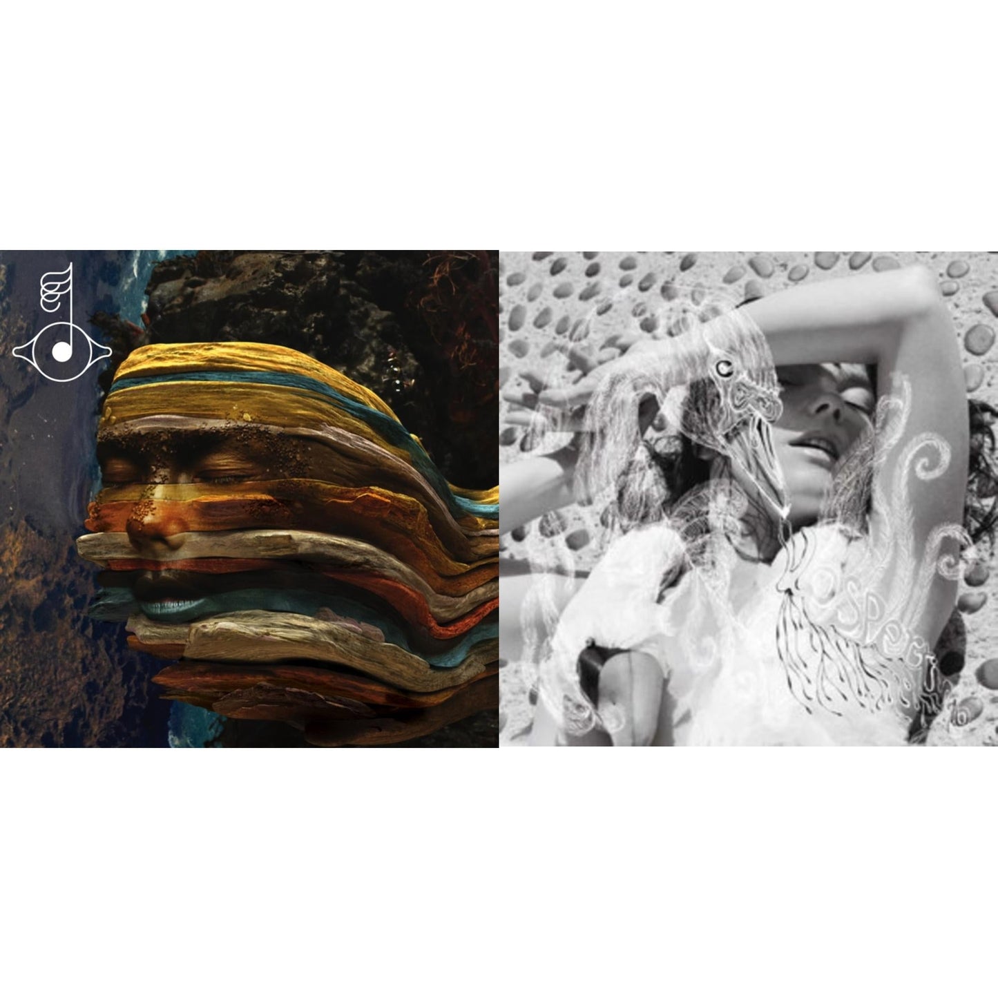 Bjork - Bastards: Remix & Vespertine - LP Vinyl Bundle