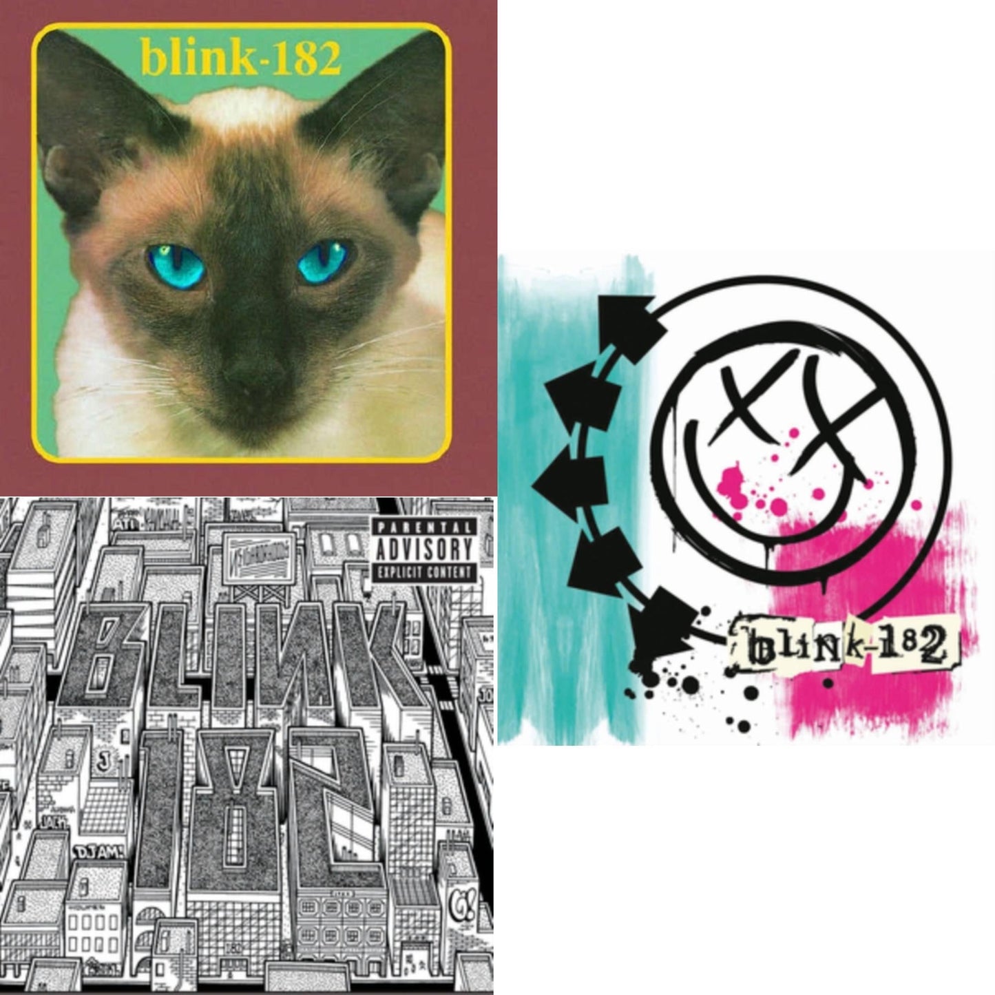 Blink-182 - Cheshire Cat & Blink-182 & Neighborhoods - LP Vinyl Bundle