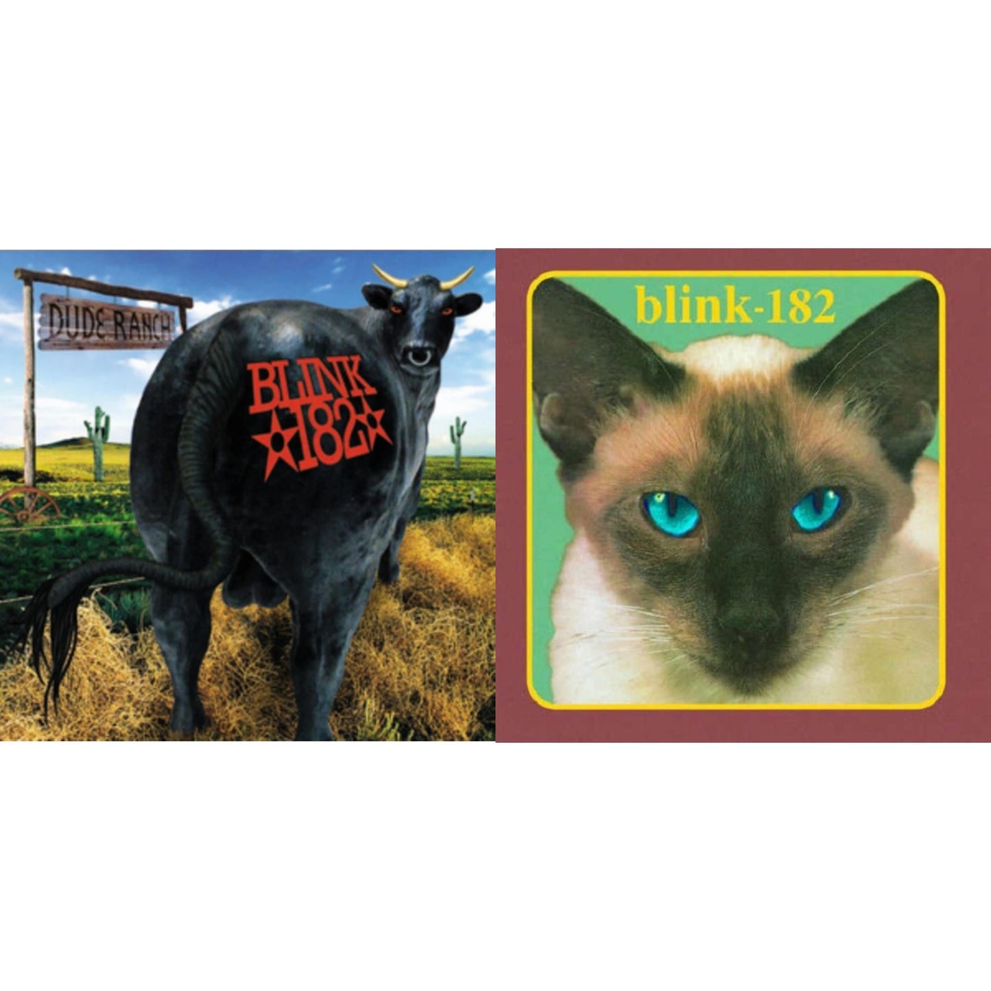 Blink-182 - Dude Ranch & Cheshire Cat - LP Vinyl Bundle