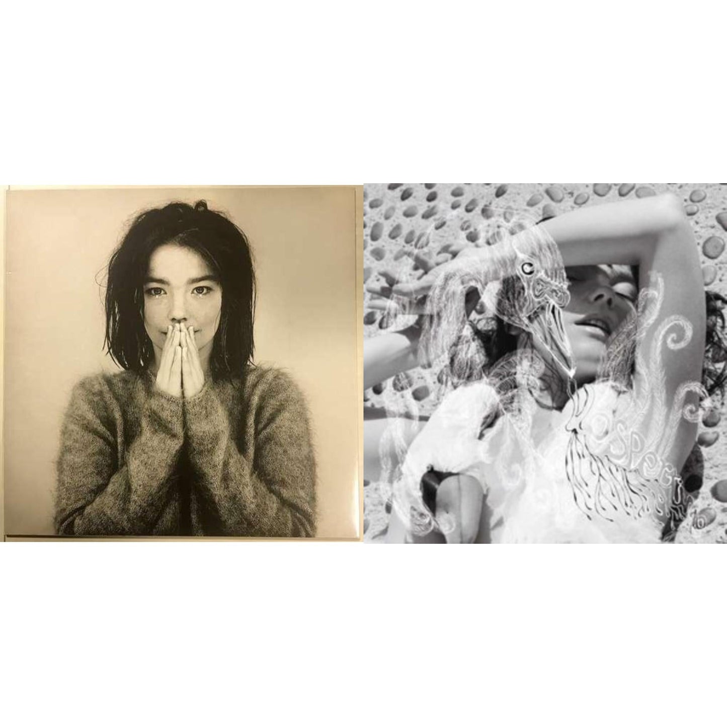 Bjork - Debut & Vespertine - LP Vinyl Bundle