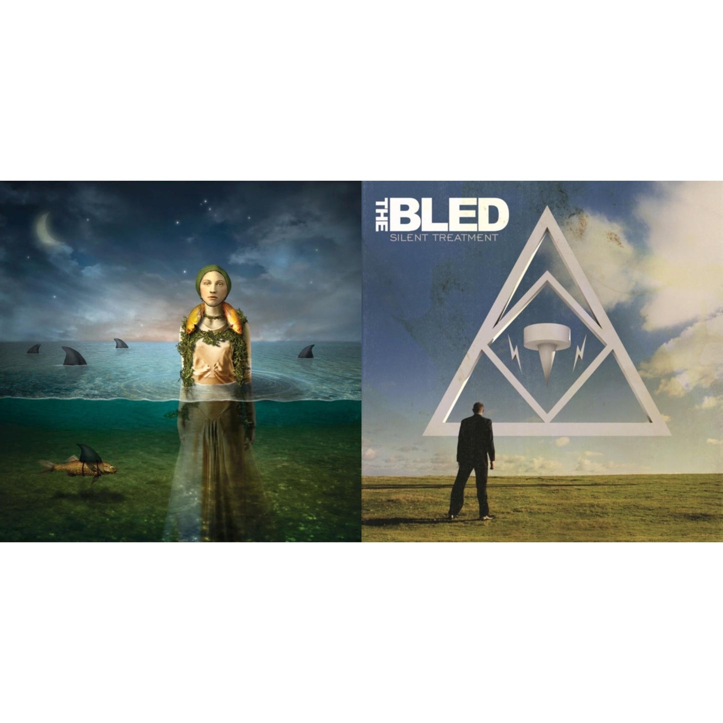 Bled - Found In The Flood (Limited Edition) & Silent Treatment (Deluxe Limited Edition) - LP Vinyl Bundle