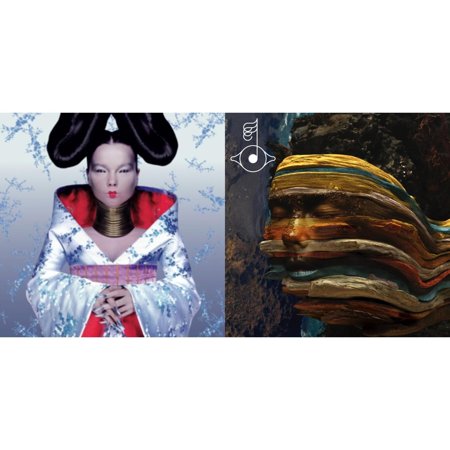 Bjork - Homogenic & Bastards: Remix - LP Vinyl Bundle