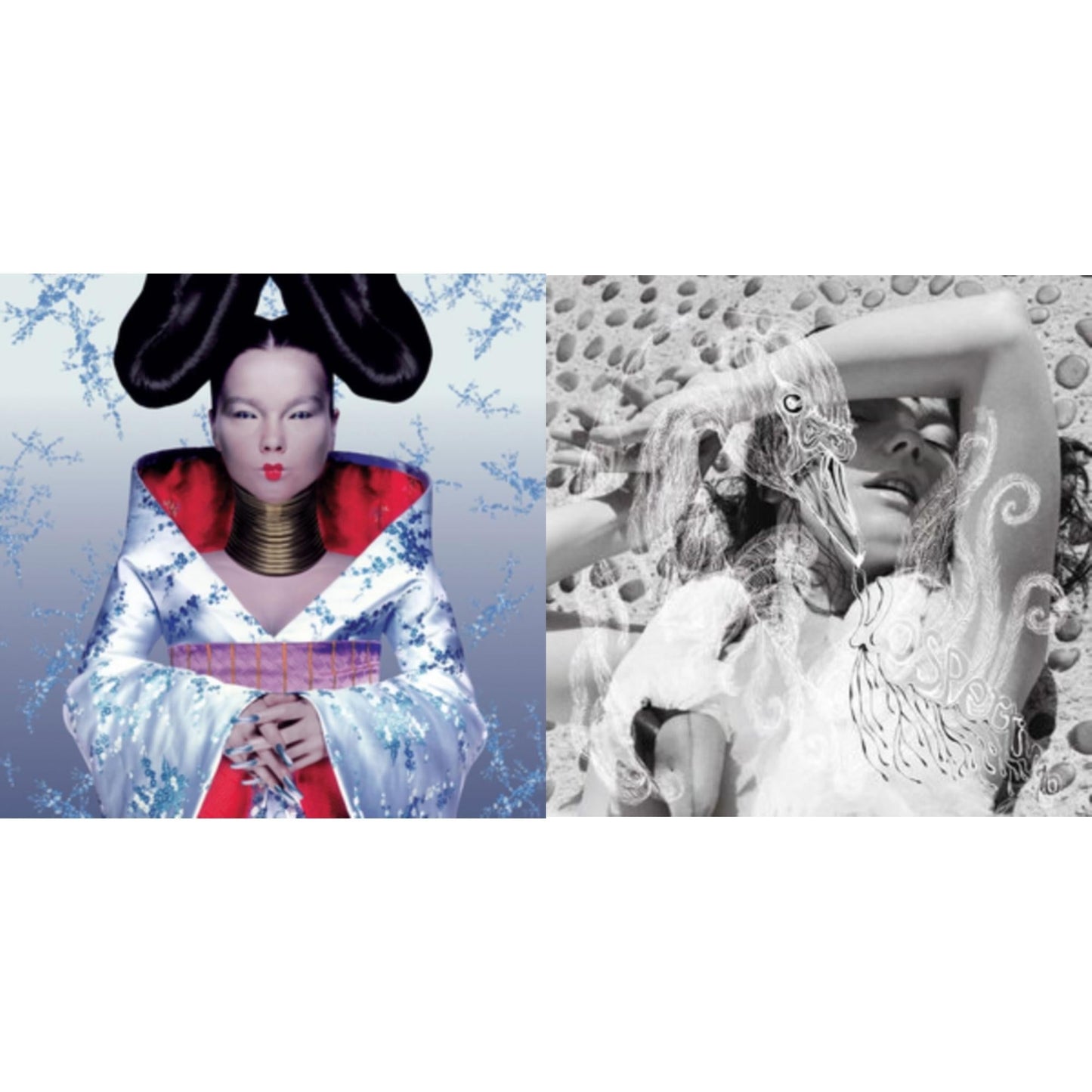 Bjork - Homogenic & Vespertine - LP Vinyl Bundle