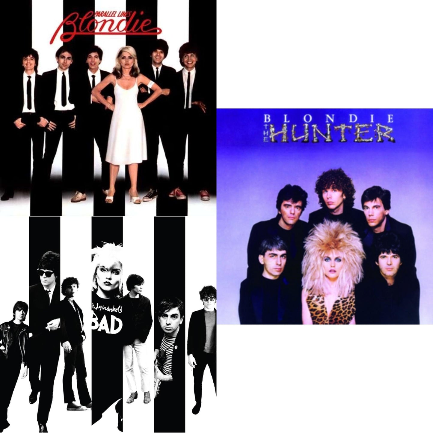 Blondie - Parallel Lines (180G) & Hunter (180G) & Against The Odds: 1974 - 1982 (4LP)