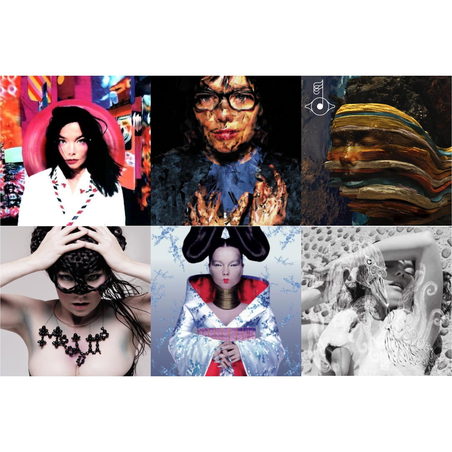 Bjork - Homogenic & Post & Vespertine & Medulla & Selma Songs & Bastards: Remix - LP Vinyl Bundle