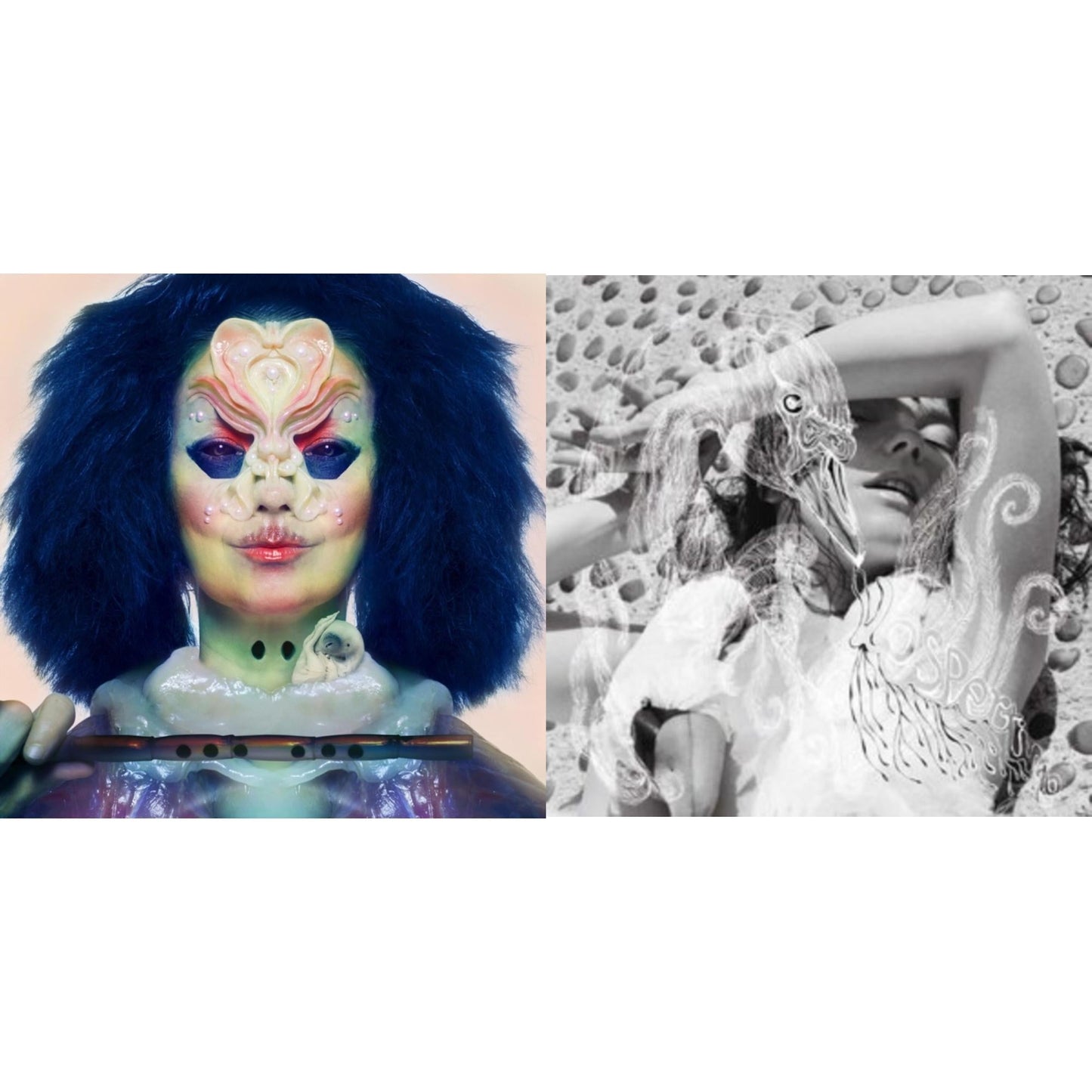 Bjork - Vespertine & Utopia - LP Vinyl Bundle