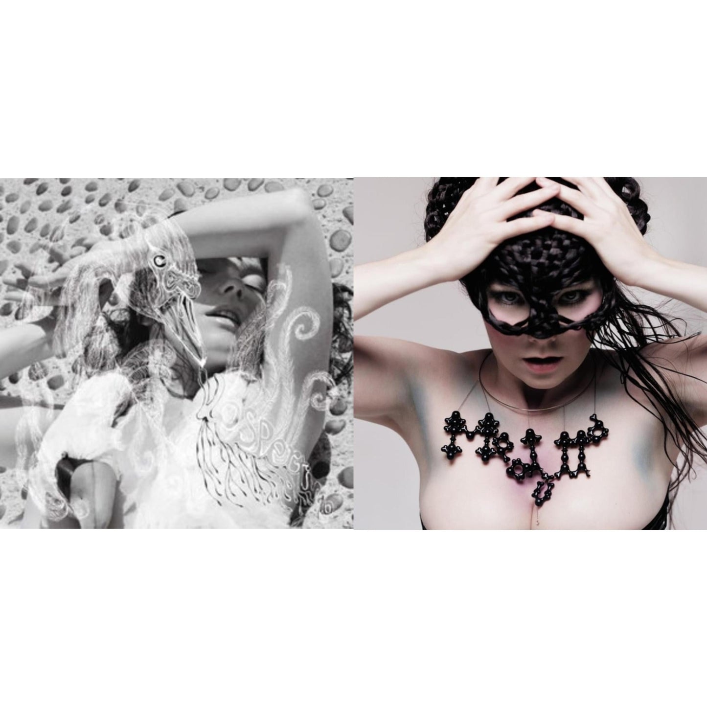 Bjork - Vespertine & Medulla - LP Vinyl Bundle