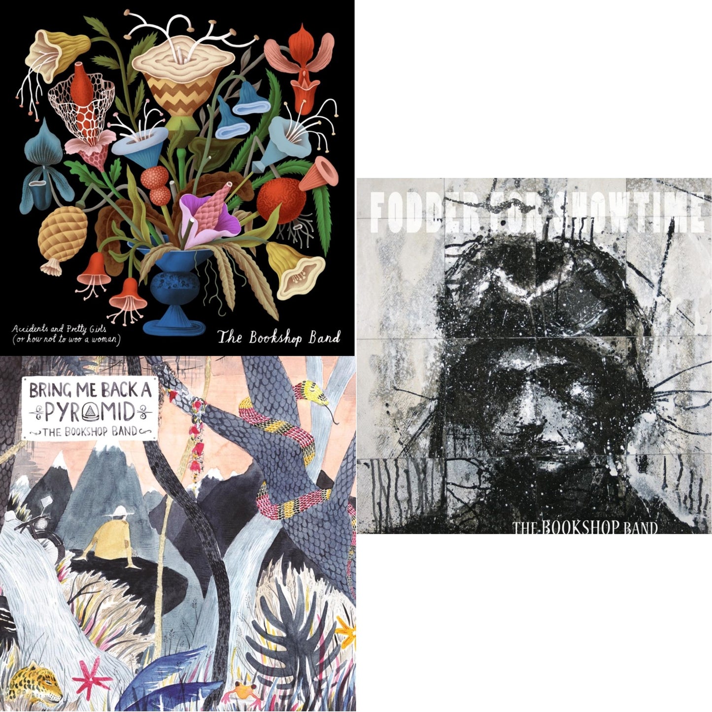 Bookshop Band - Accidents & Pretty Girls & Bring Me Back A Pyramid & Fodder For Showtime - CD Bundle