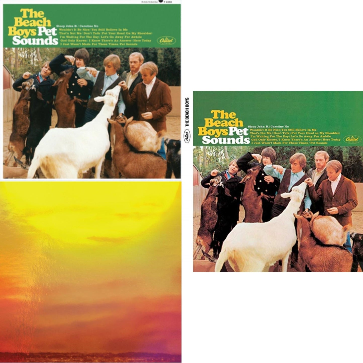 Beach Boys - Sounds Of Summer: The Very Best Of The Beach Boys (Expanded Edition Super Deluxe/6LP) & Pet Sounds (Mono) & Pet Sounds (Stereo)