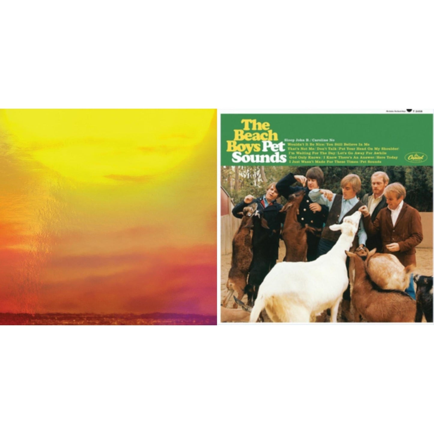Beach Boys - Sounds Of Summer: The Very Best Of The Beach Boys (Expanded Edition Super Deluxe/6LP) & Pet Sounds (Stereo)