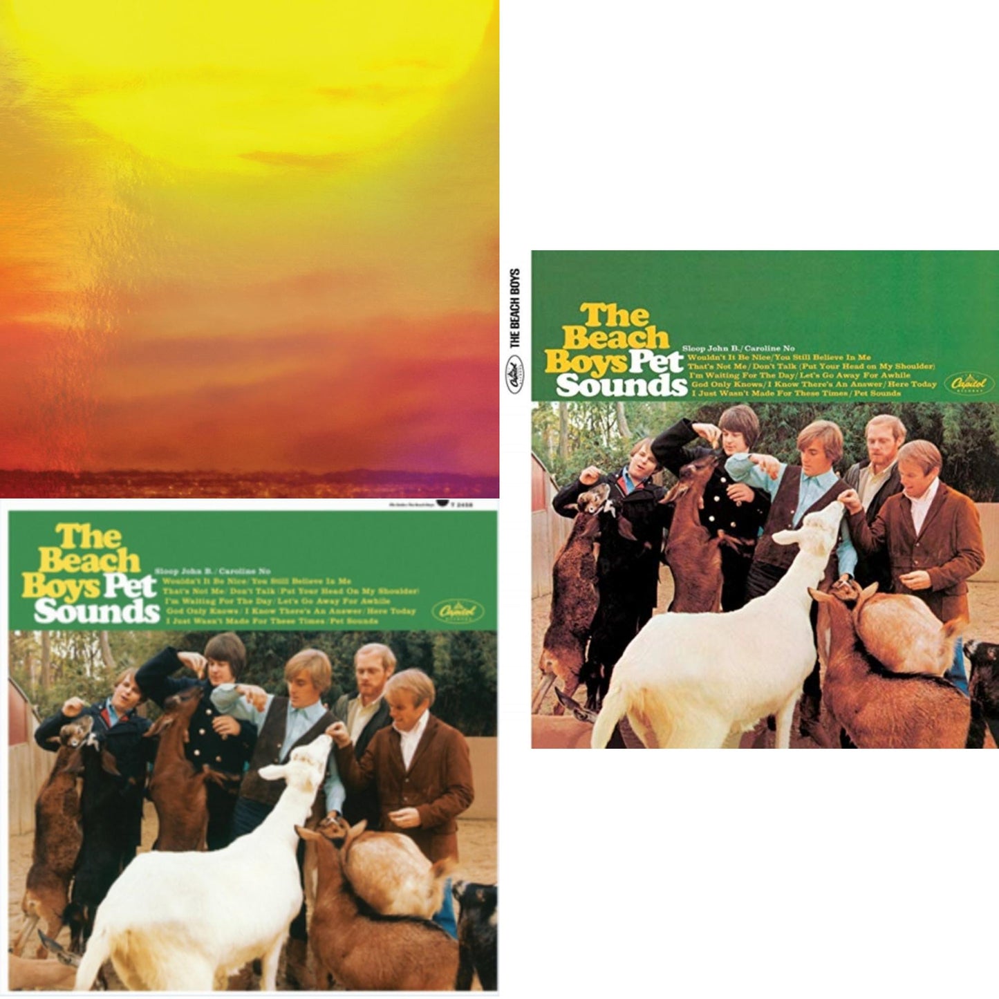 Beach Boys - Sounds Of Summer: The Very Best Of The Beach Boys (Expanded Edition Super Deluxe/6LP) & Pet Sounds (Mono) & Pet Sounds (Stereo)