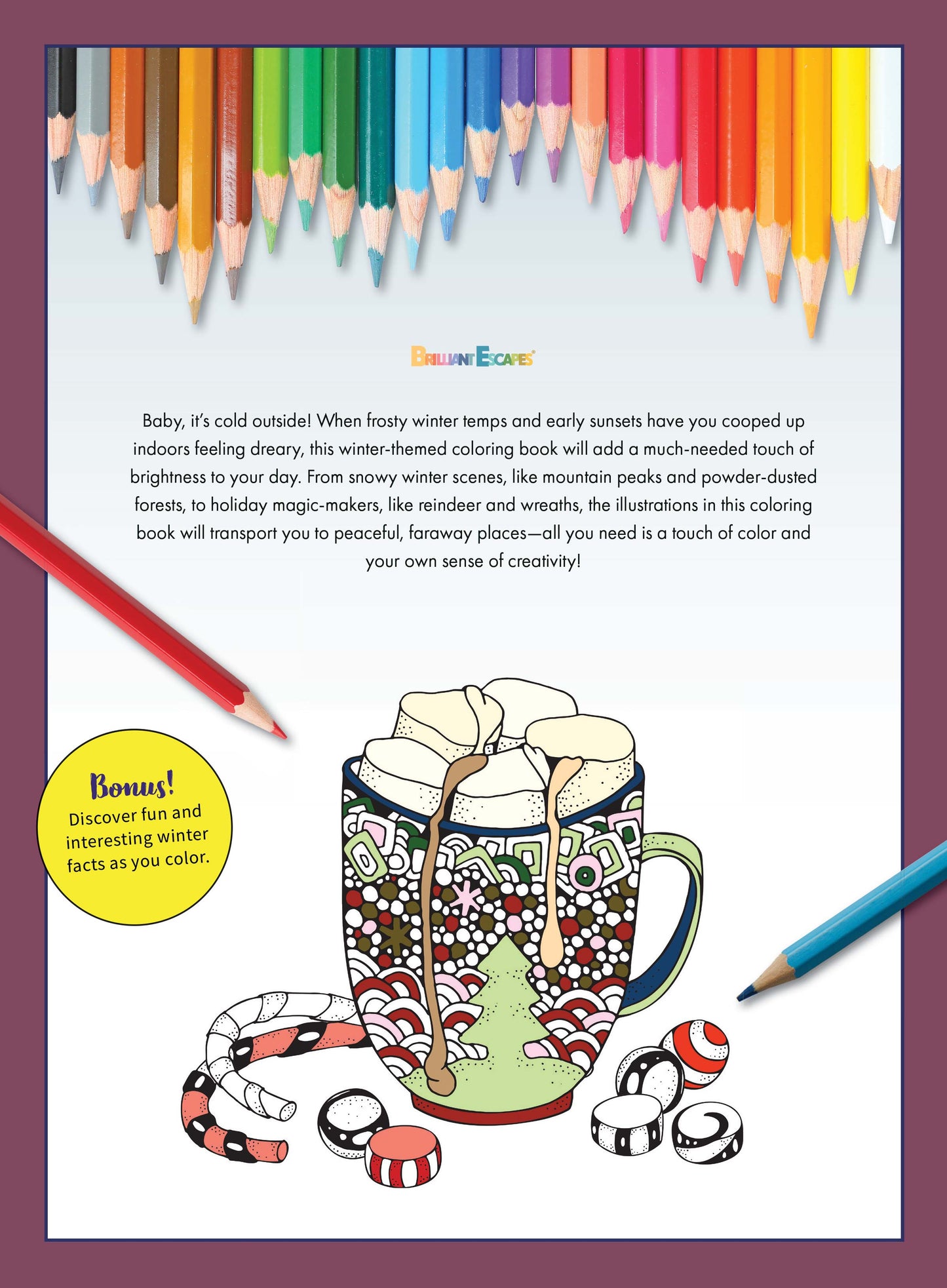 Winter Coloring - Coloring Book: 32 Designs, Snowflakes, Mittens, Arctic Animals, Snowmen, Winter Villages, Ice Skating, Reindeers, Wreaths, Hot Cocoa, Skiing, Facts, All Ages, Creativity & De-Stress!