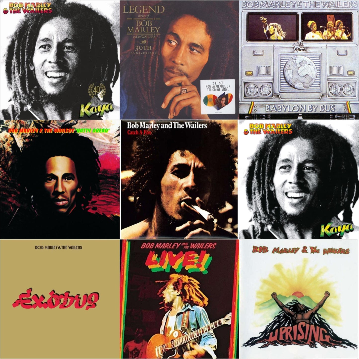 Bob & The Wailers Marley - Natty Dread (180G) & Catch A Fire & Legend (30Th Anniversary) & Live (180G) & Exodus & Babylon By Bus & Kaya & Uprising & Kaya 40 (2 LP)
