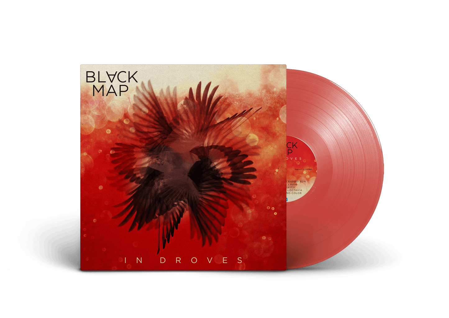 Black Map - "In Droves" Vinyl Record