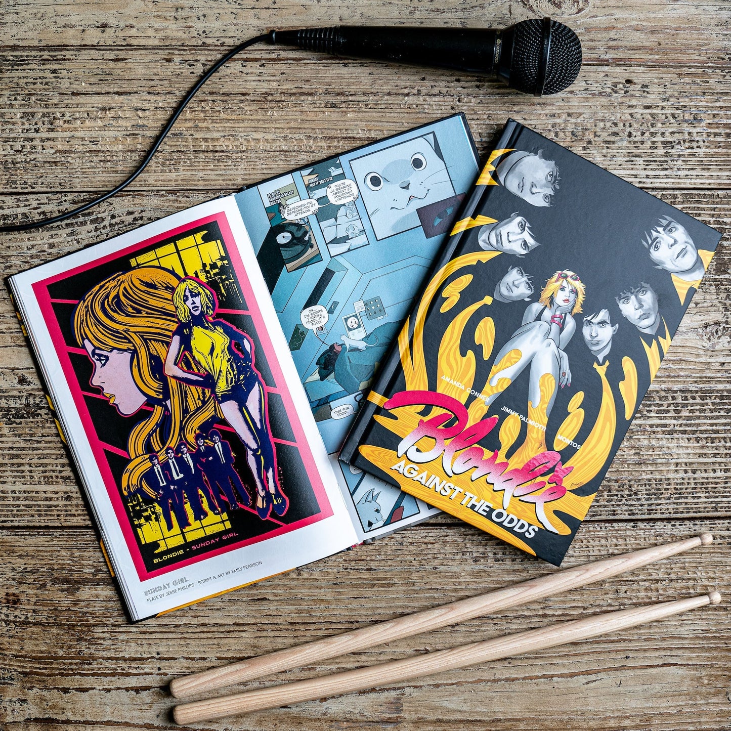 Blondie Against The Odds Graphic Novel Hardcover Book
