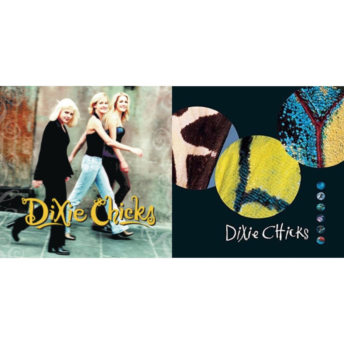 Chicks - Wide Open Spaces & Fly - LP Vinyl Bundle