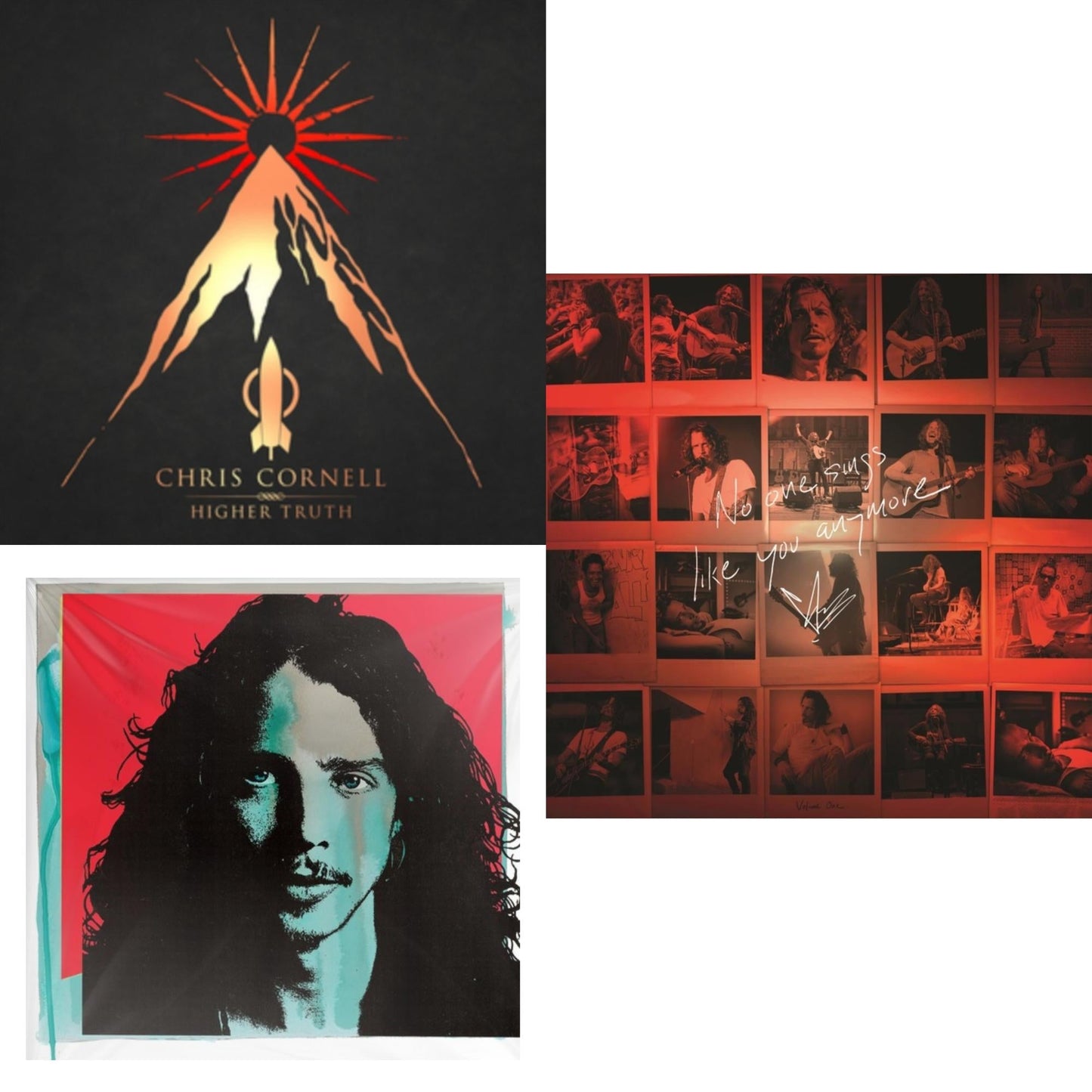 Chris Cornell - No One Sings Like You Anymore (Picture Disc) & Higher Truth & Chris Cornell (2LP/180G)