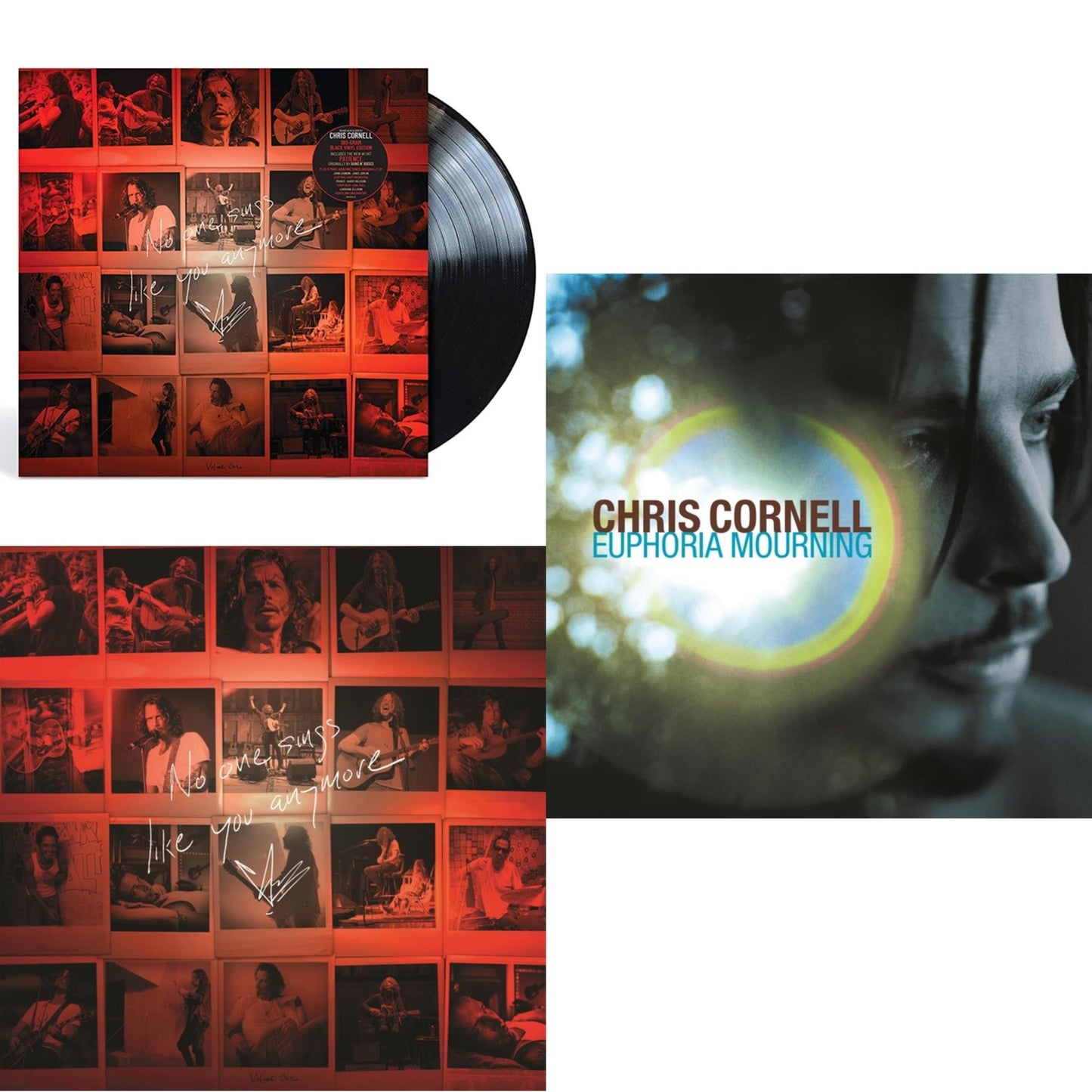 Chris Cornell - No One Sings Like You Anymore & No One Sings Like You Anymore (Picture Disc) & Euphoria Mourning - LP Vinyl Bundle