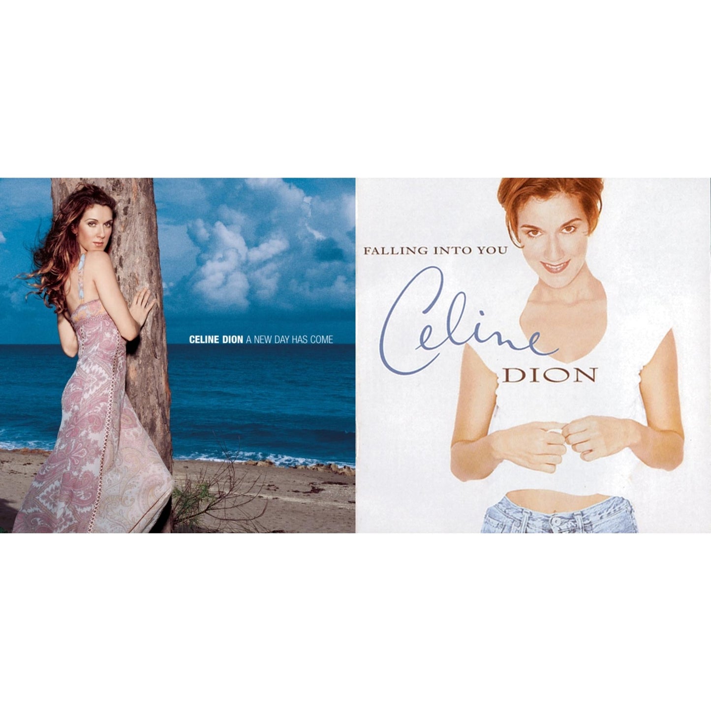 Celine Dion - Falling Into You & New Day Has Come - CD Bundle