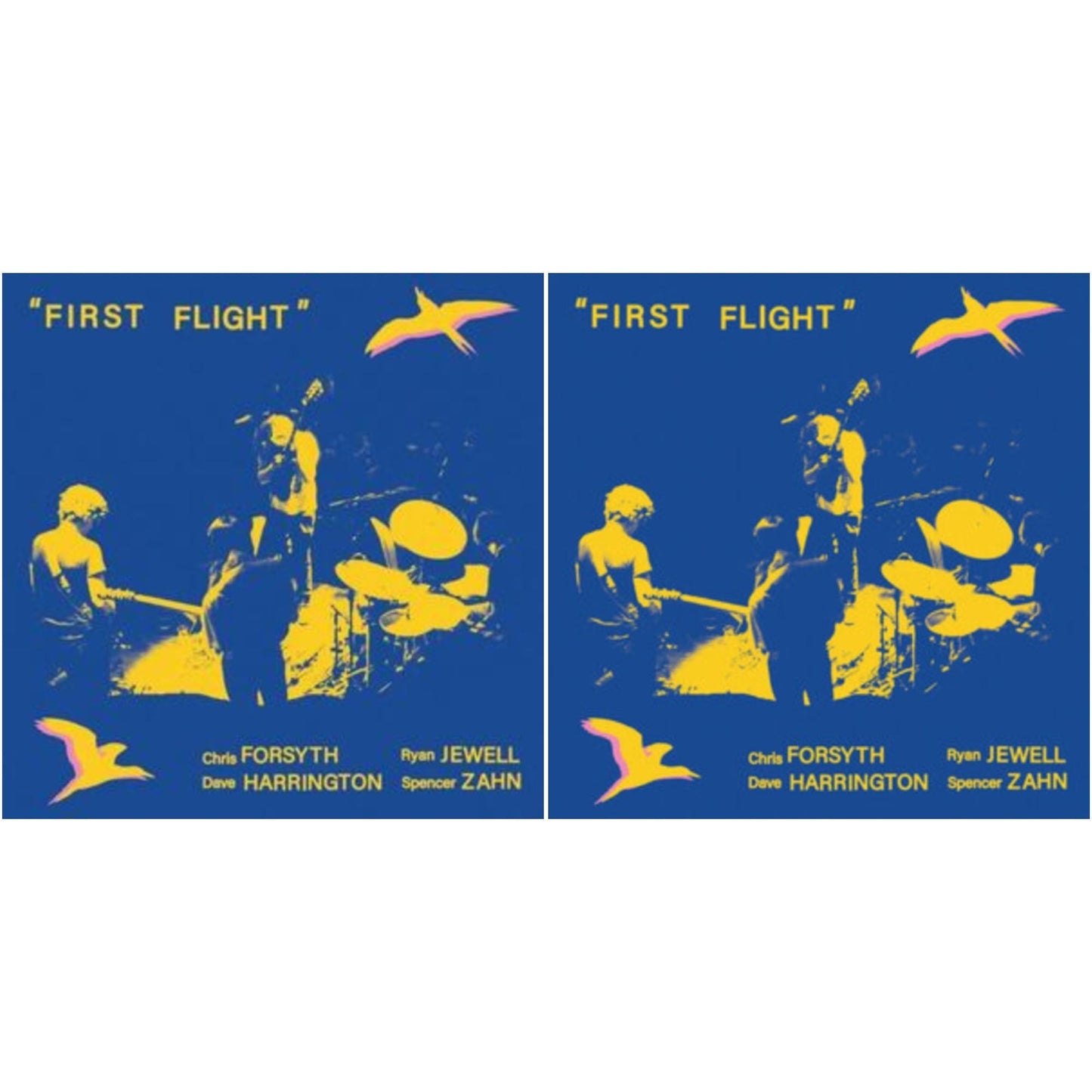 Chris Forsyth - First Flight Redux (Harrington Dub) & First Flight (Solar Live Vol. 5) - LP Vinyl Bundle