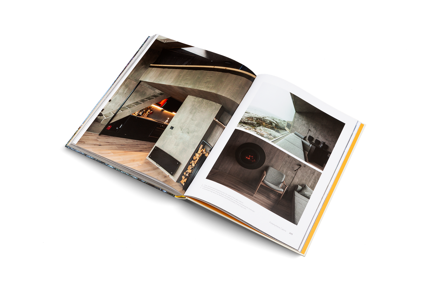 Cabin Fever Book