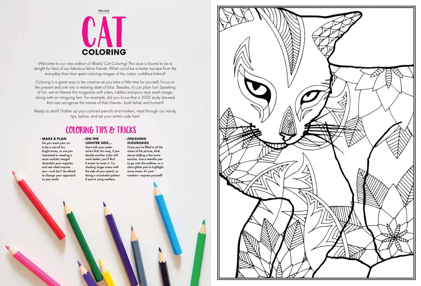 Blissful - Cat Coloring Book: 32 Inspiring Designs, 50+ Images Unique To This Release