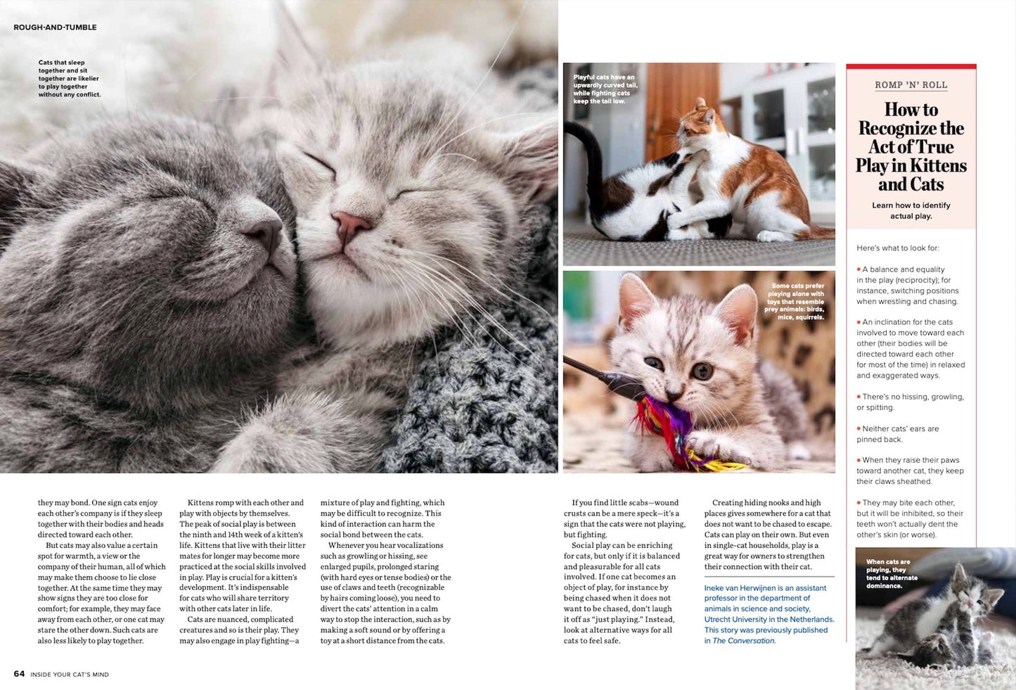 Inside Your Cats Mind - What They Really Think & Need, Dr. Zazie Todd & Mikel Delgado Animal Behaviorist, 10 Essential Strategies For Their Happiness, The Many Meanings Of The Purr & More!