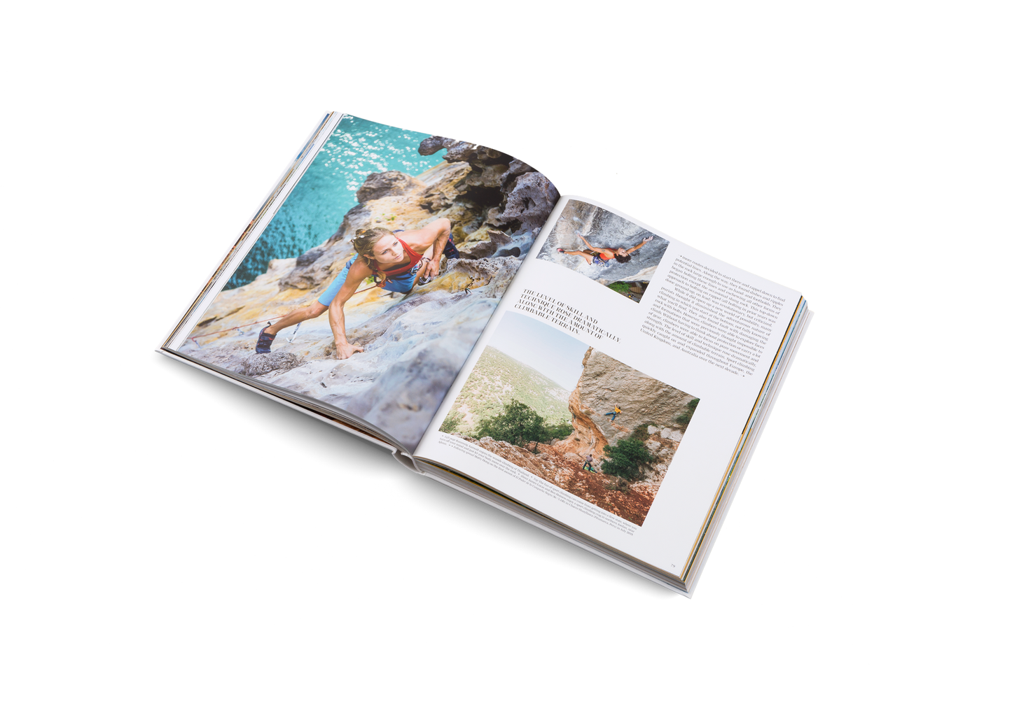 Cliffhanger Book