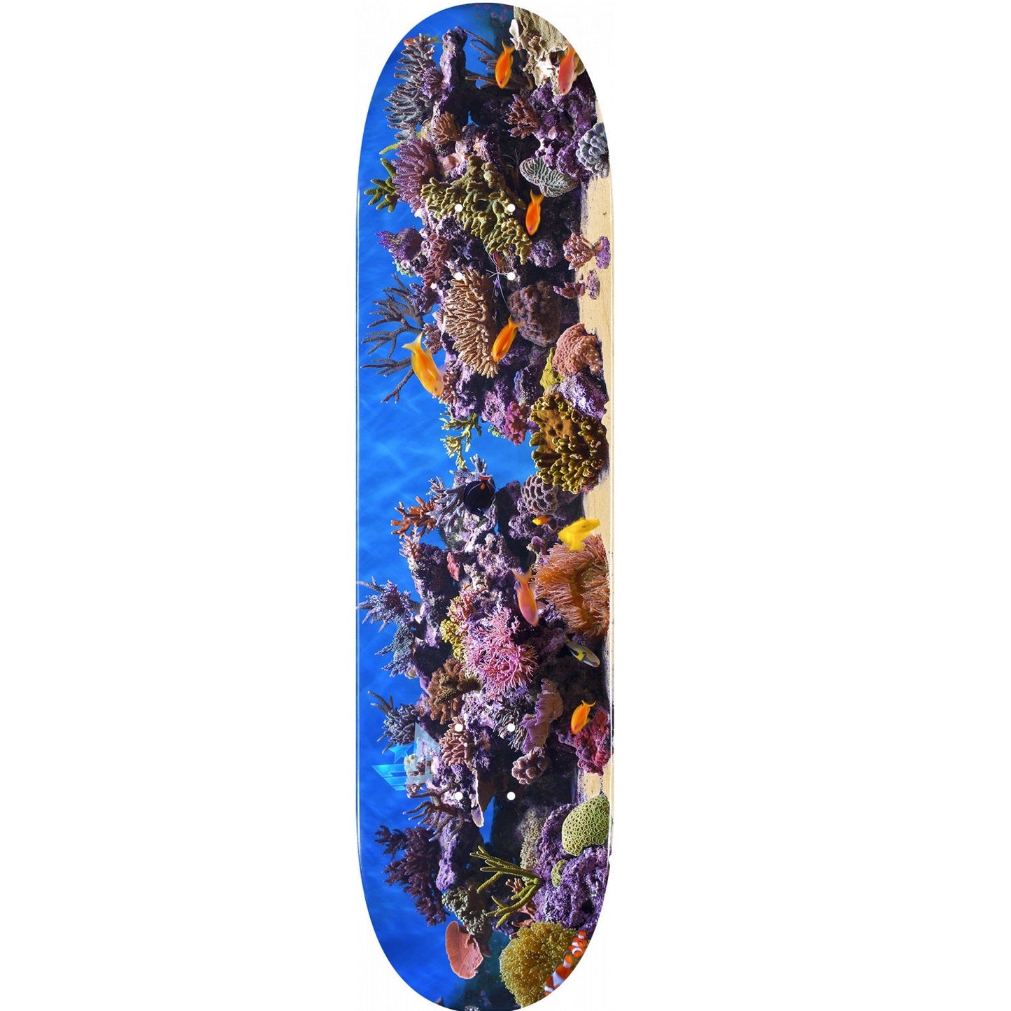 Mini Logo Fish Tank ƒ??18ƒ?? Skateboard Deck 291 - 7.75ƒ??