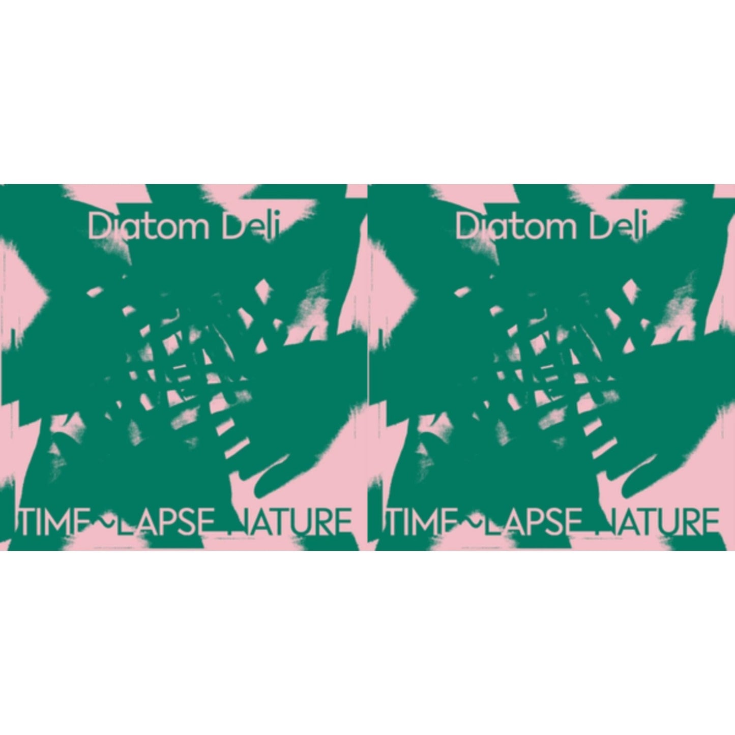 Diatom Deli - Time~Lapse Nature (Green & White Marbled LP Vinyl) (I) & Time~Lapse Nature