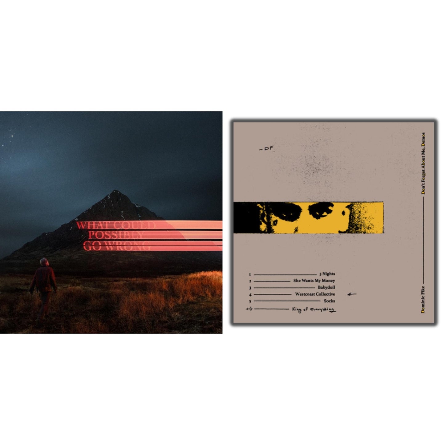Dominic Fike - Don't Forget About Me, Demos (150G) & What Could Possibly Go Wrong (X) (140G/Poster) - LP Vinyl Bundle