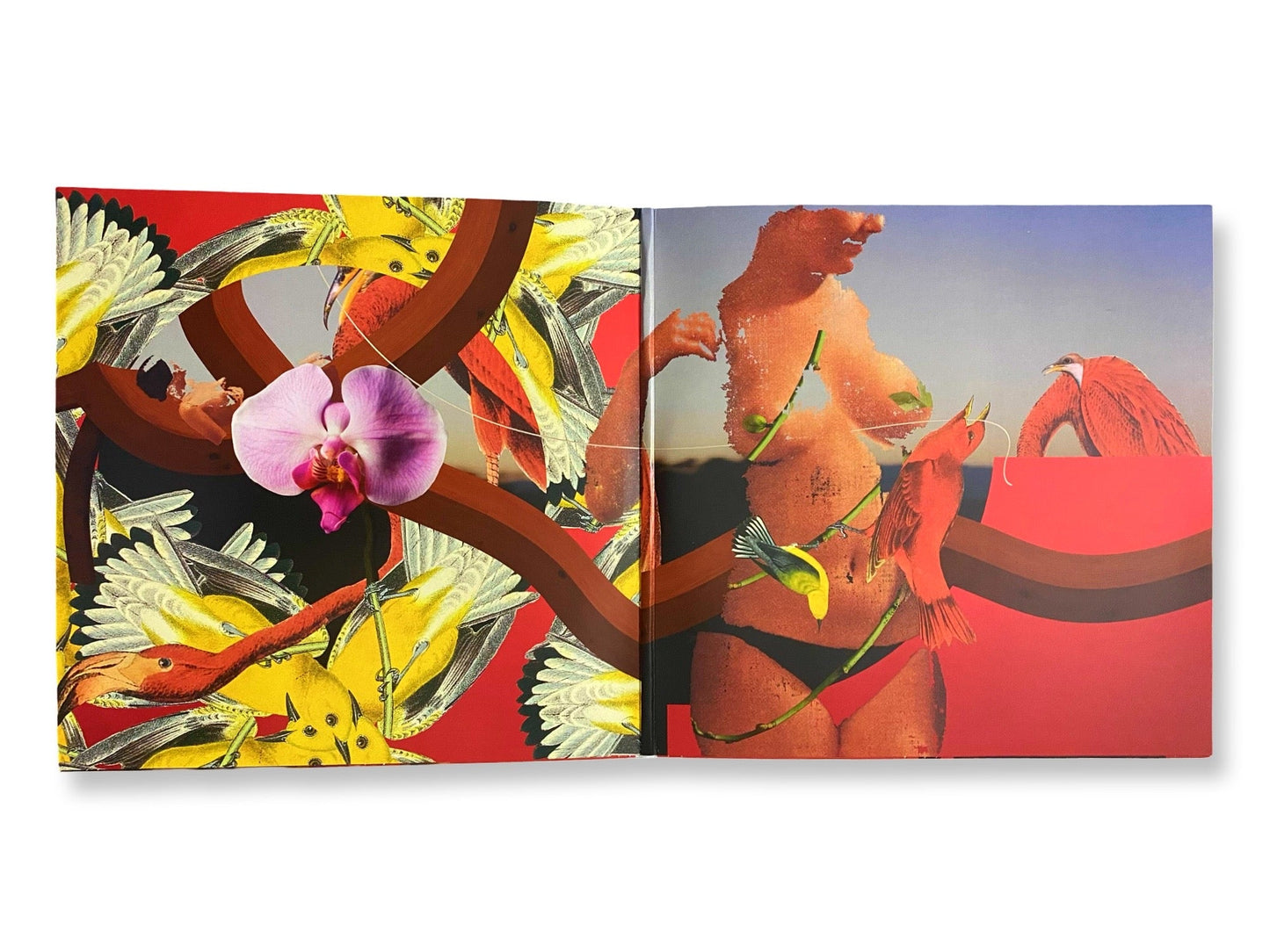 Mac Miller - Watching Movies With The Sound Off (Limited Edition Brown Colored Vinyl) Vinyl Record