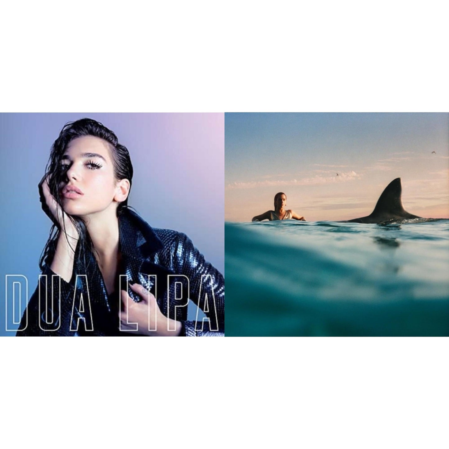 Dua Lipa - Dua Lipa (X) & Radical Optimism - LP Vinyl Bundle