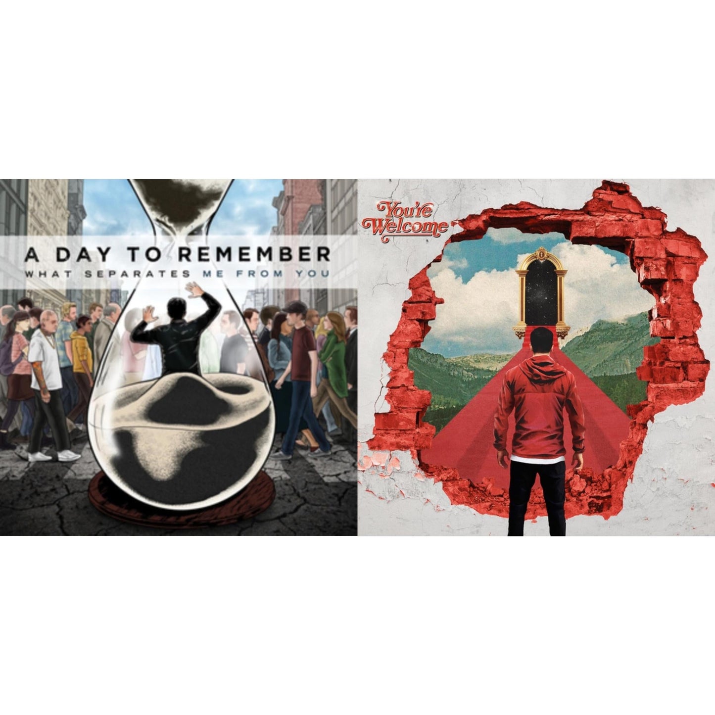 Day To Remember - You're Welcome & What Separates Me From You - LP Vinyl Bundle
