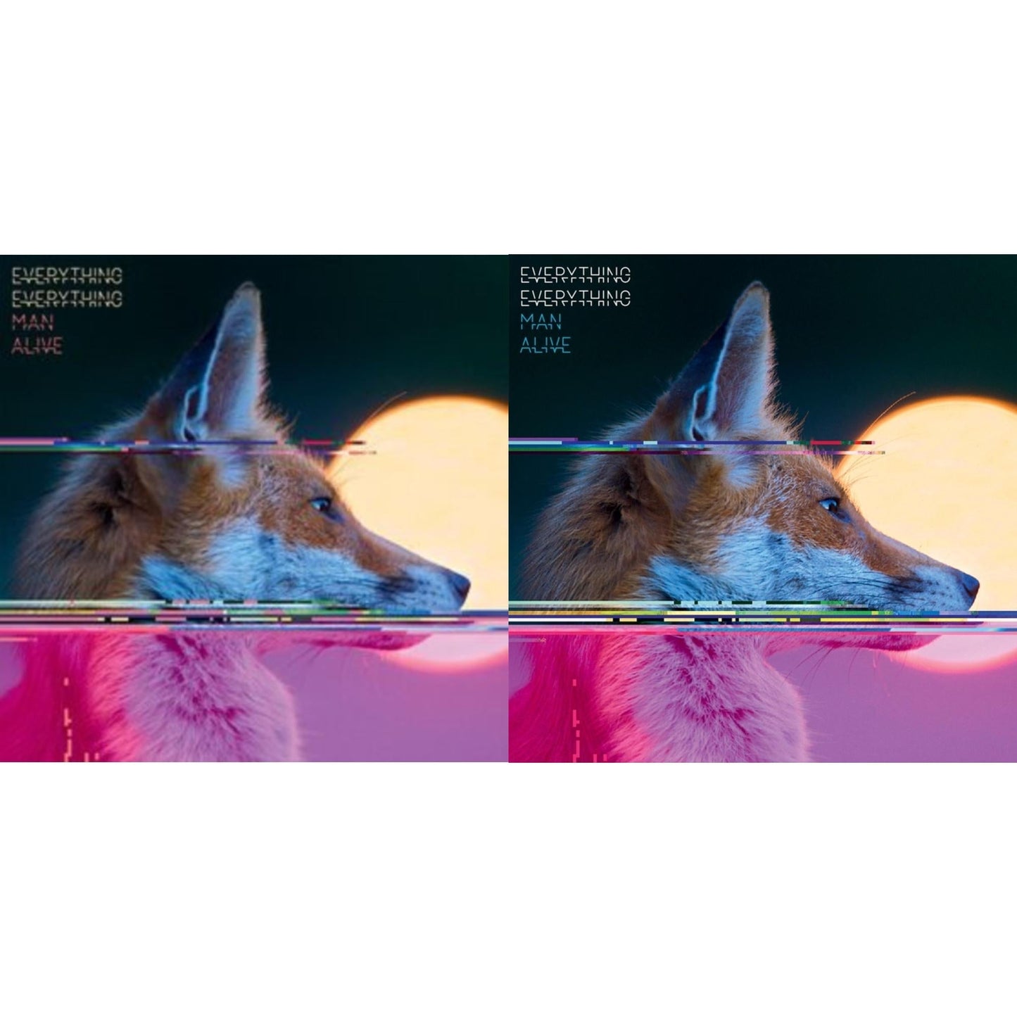 Everything Everything - Man Alive (Deluxe Edition) (2LP) & Man Alive