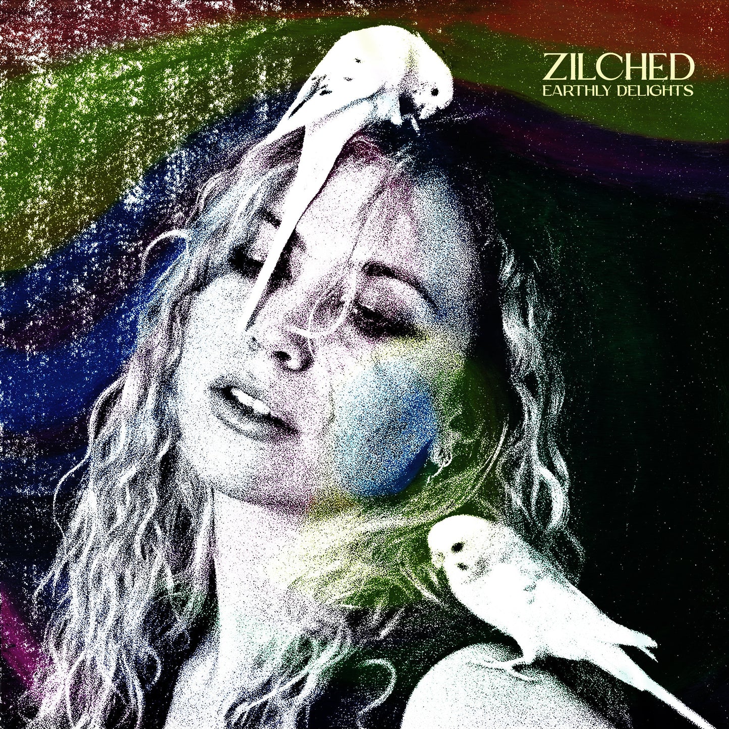 Zilched - Earthly Delights Cassette Tape