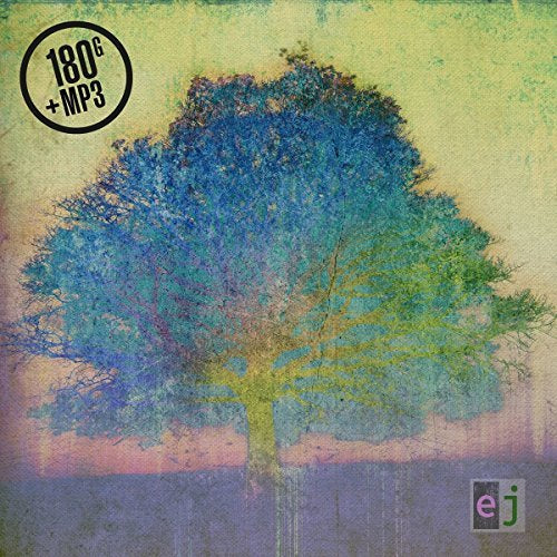 Eric Johnson - EJ Vinyl Record