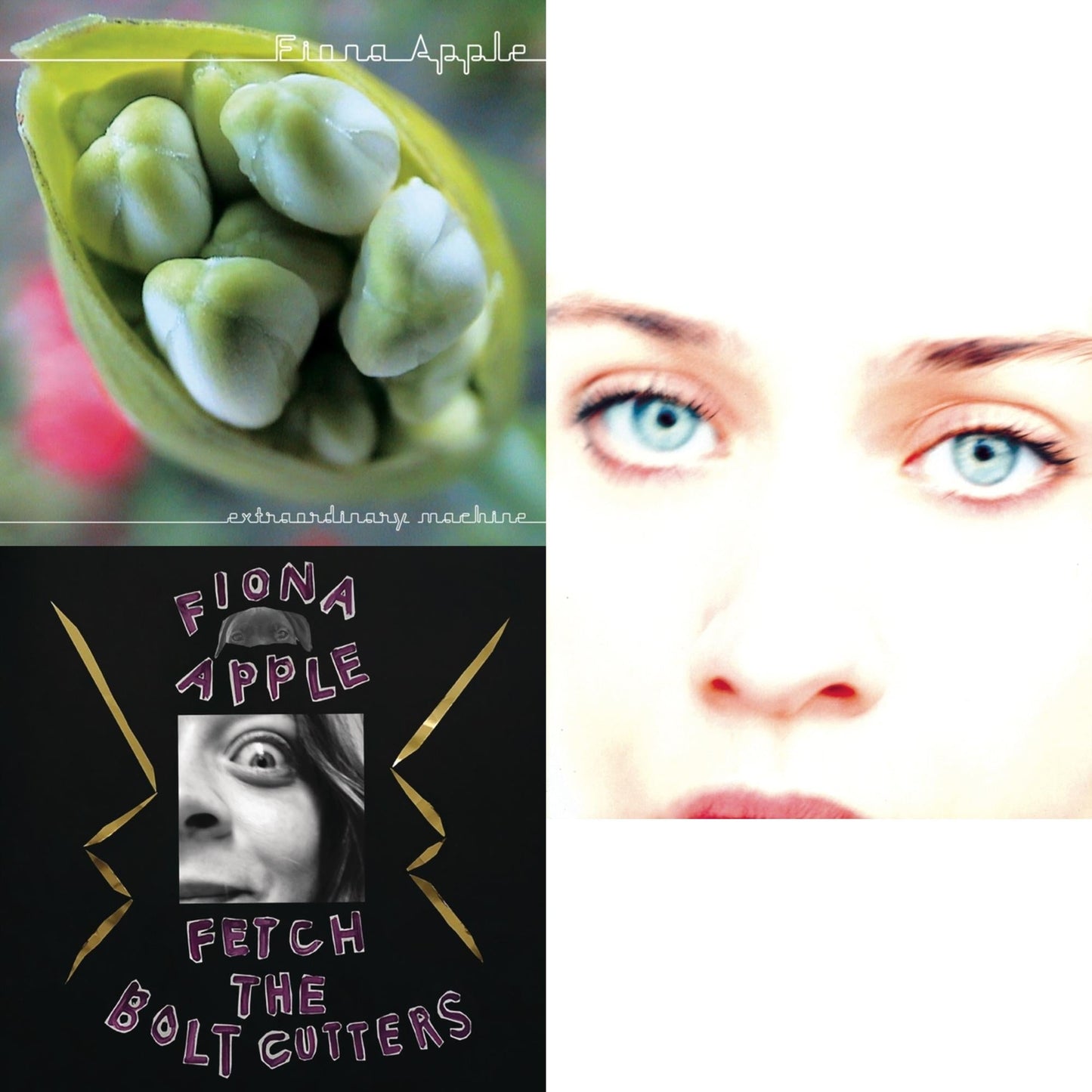 Fiona Apple - Fetch The Bolt Cutters & Extraordinary Machine & Tidal - CD Bundle
