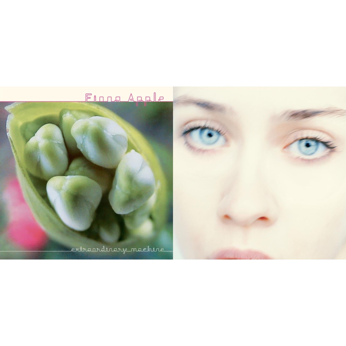 Fiona Apple - Tidal (2LP/180G/45 RPM) & Extraordinary Machines (2LP/180G)