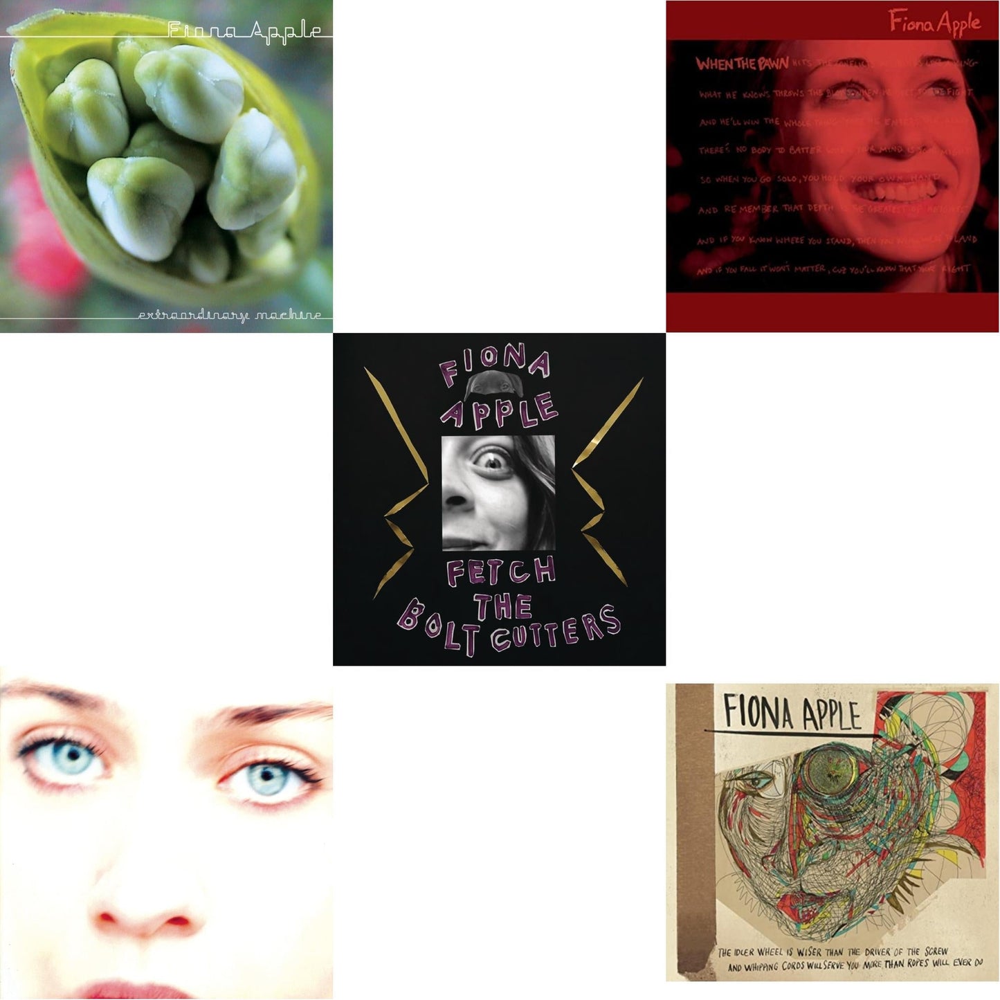 Fiona Apple - Fetch The Bolt Cutters & Idler Wheel Is Wiser Than The Driver & Extraordinary Machine & When The Pawn & Tidal - CD Bundle