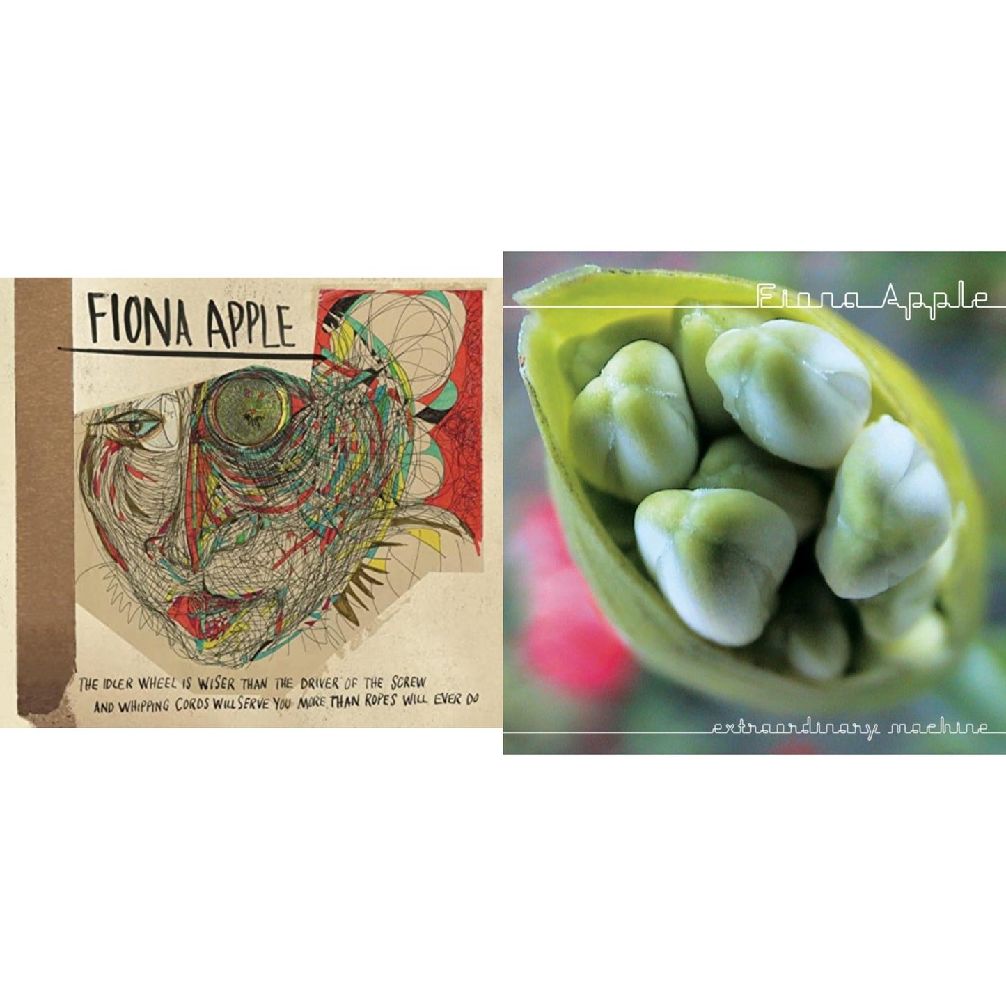 Fiona Apple - Idler Wheel Is Wiser Than The Driver & Extraordinary Machine - CD Bundle