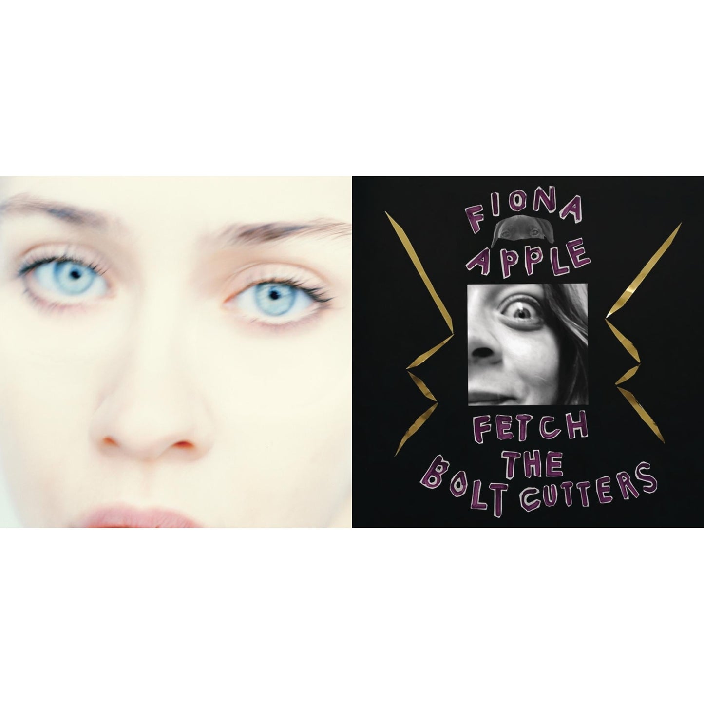 Fiona Apple - Fetch The Bolt Cutters (180G/2LP/Dl Insert) & Tidal (2LP/180G/45 RPM)