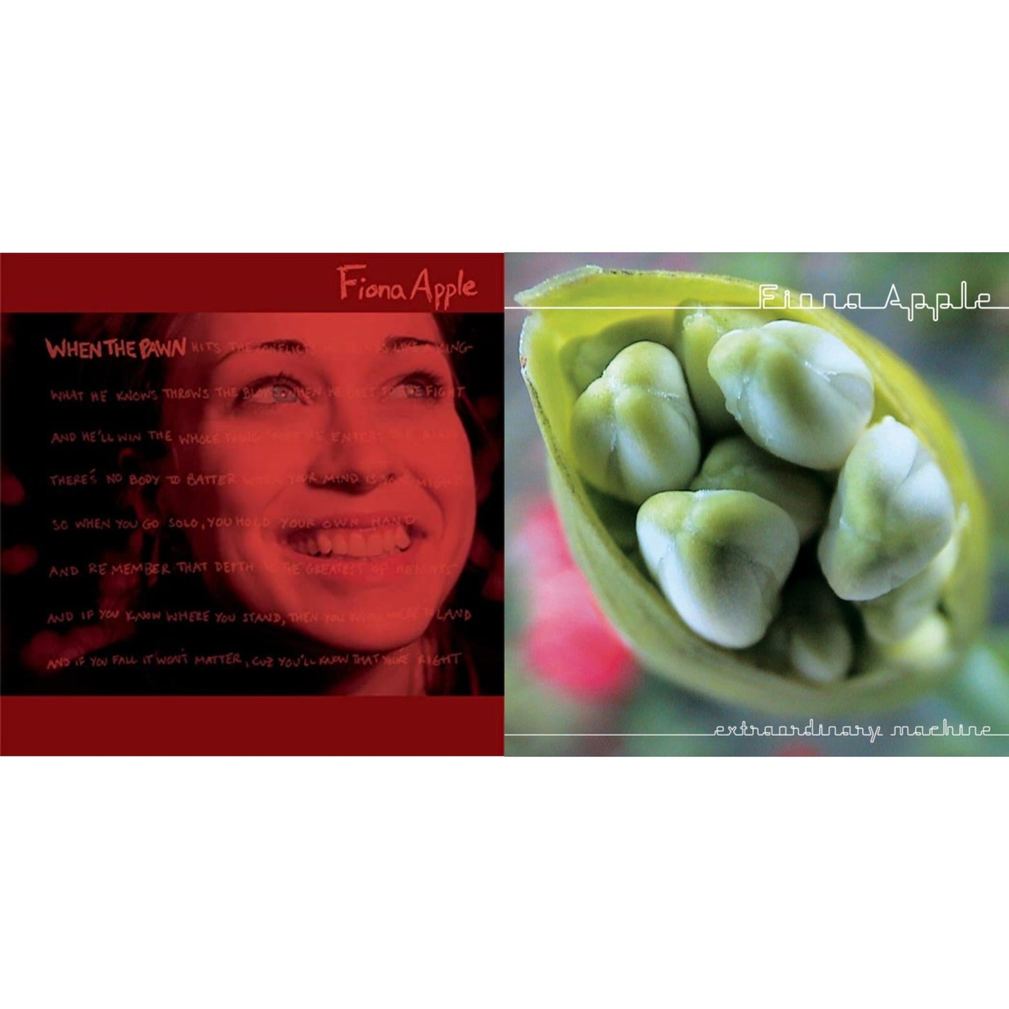 Fiona Apple - When The Pawn & Extraordinary Machine - CD Bundle