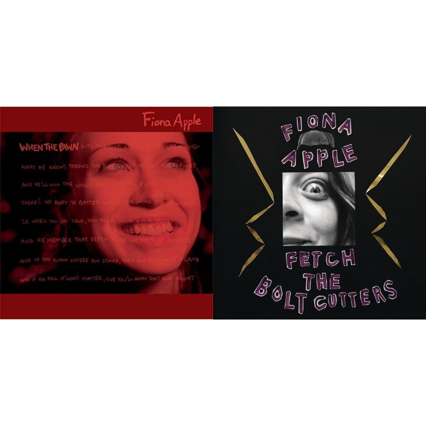 Fiona Apple - Fetch The Bolt Cutters & When The Pawn - CD Bundle