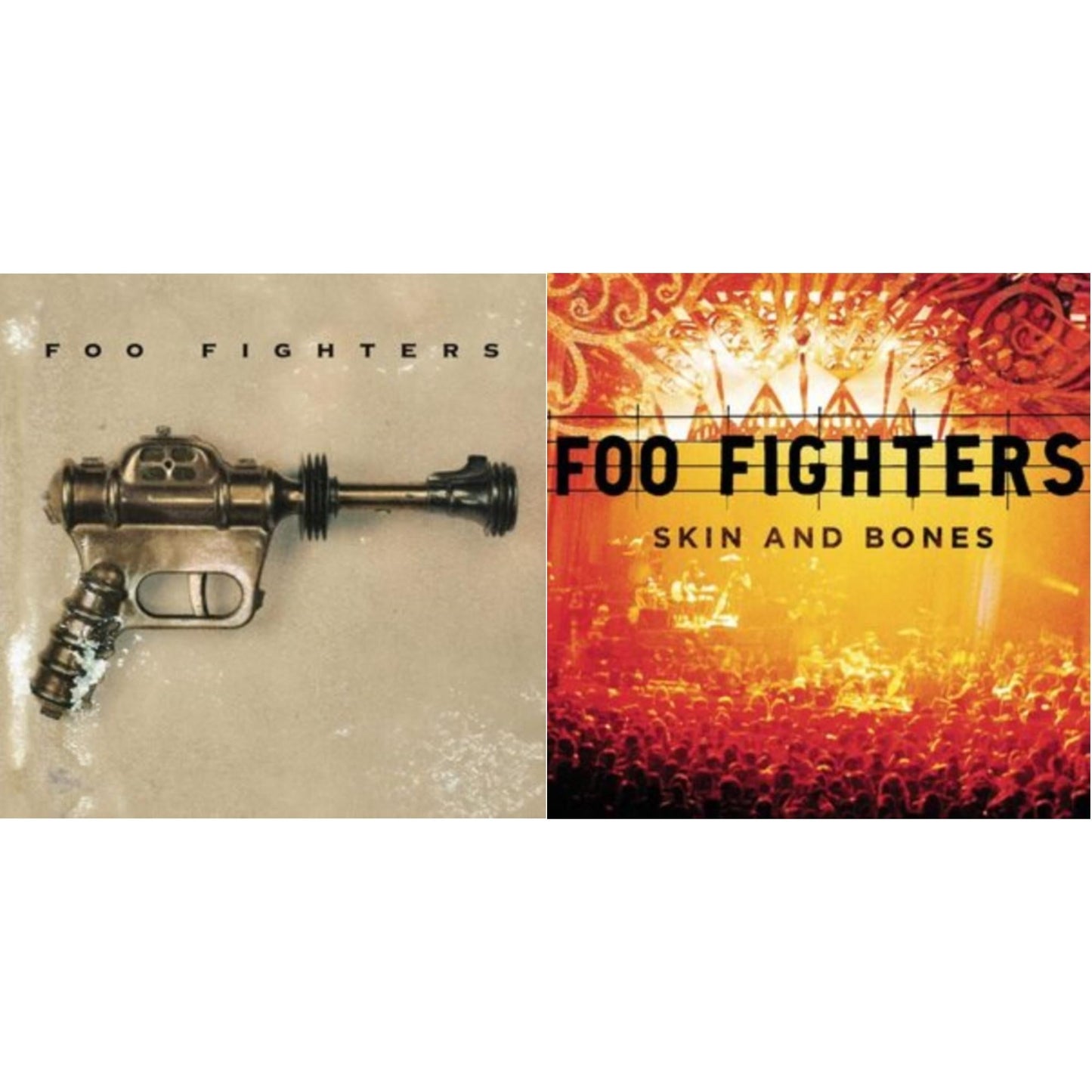 Foo Fighters - Foo Fighters (Dl Card) & Skin & Bones (2LP/Dl Card)