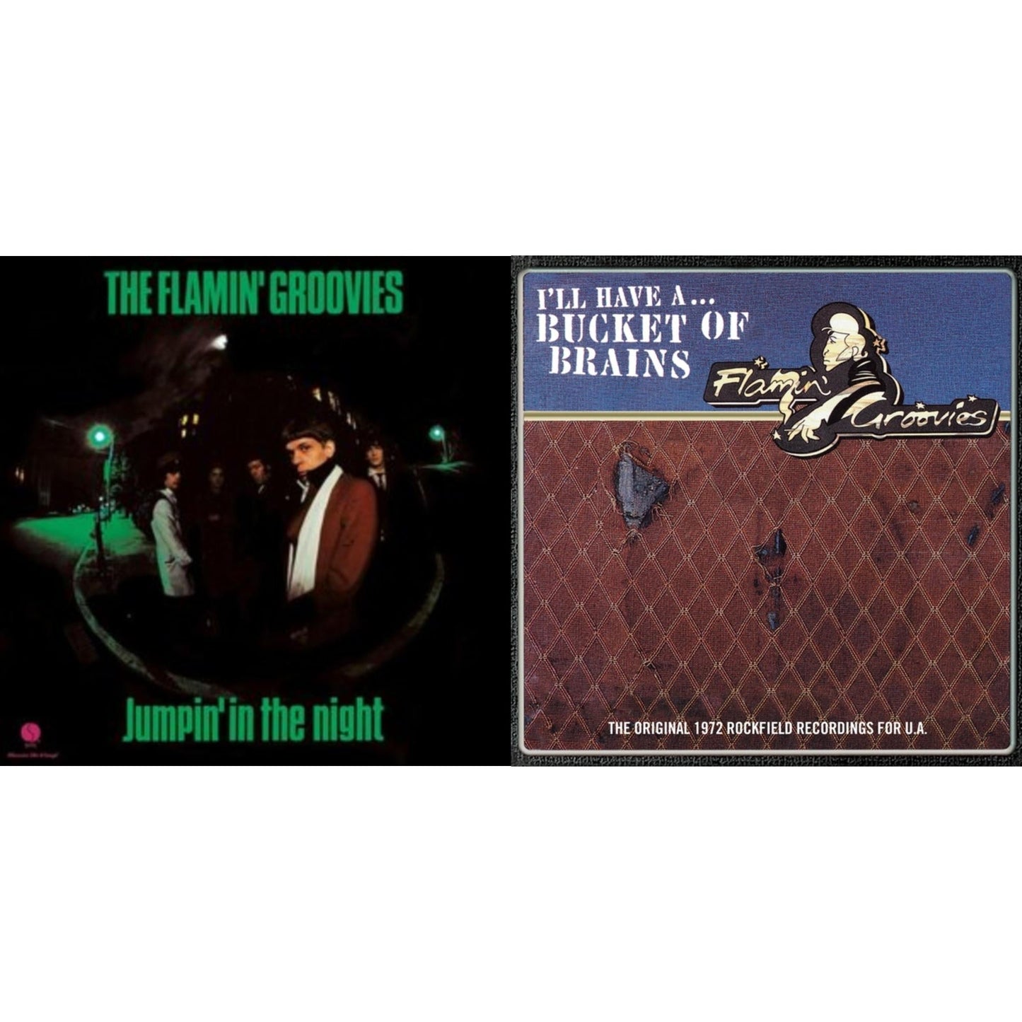 Flamin' Groovies - Jumpin' In The Night (180G) & Bucket Of Brains - LP Vinyl Bundle