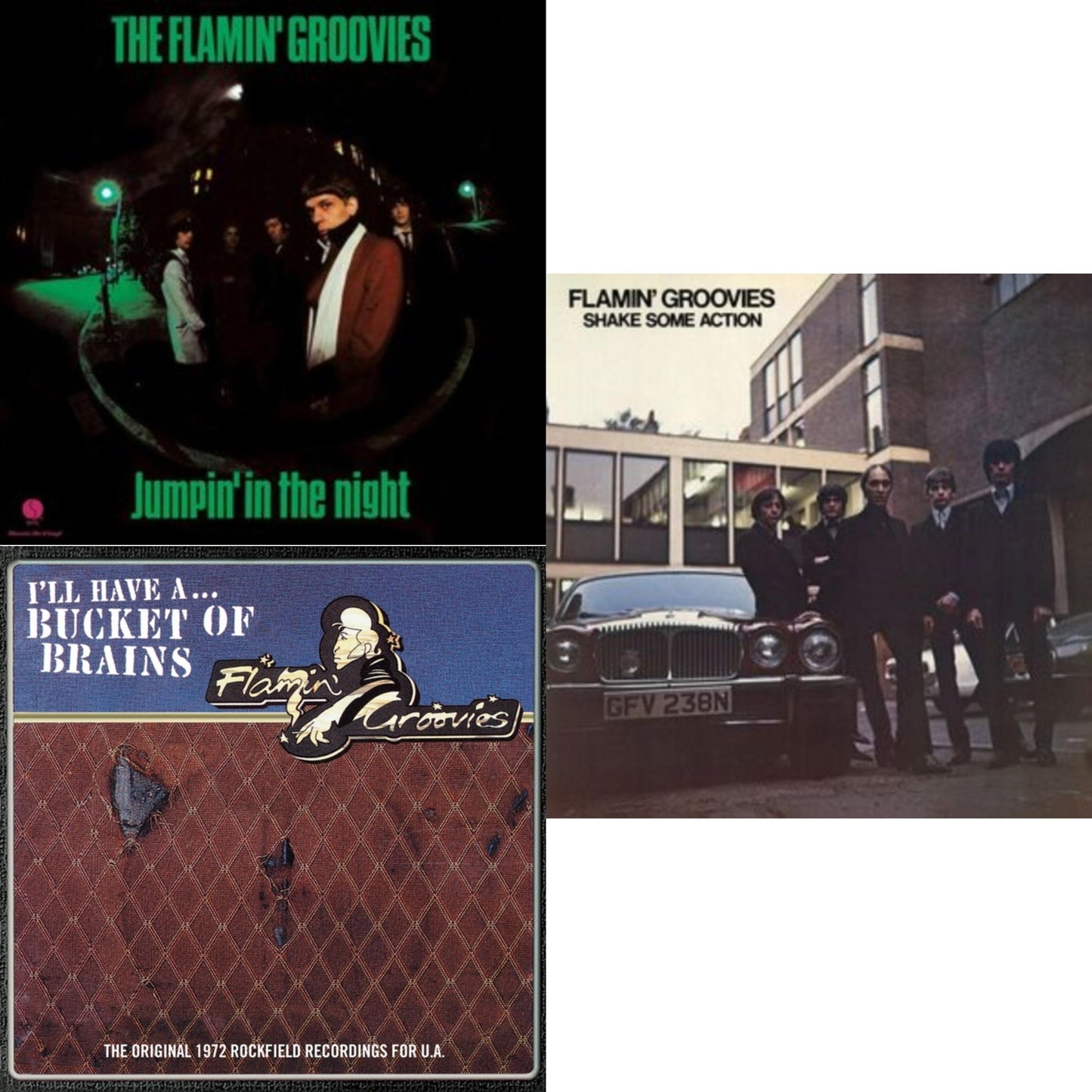 Flamin' Groovies - Bucket Of Brains & Shake Some Action (Burnt Orange LP Vinyl) (Ams Exclusive) & Jumpin' In The Night (180G)