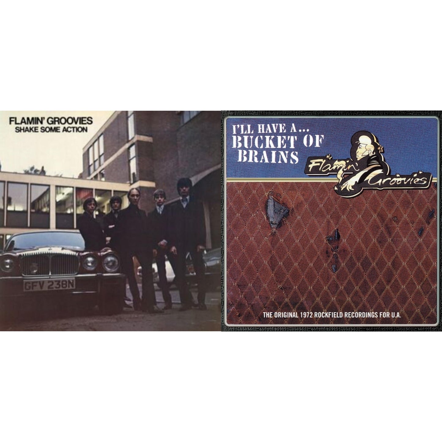 Flamin' Groovies - Bucket Of Brains & Shake Some Action (Burnt Orange LP Vinyl) (Ams Exclusive)